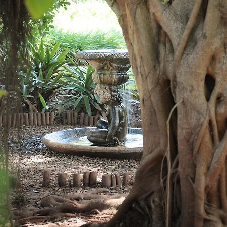 Mount Azimbo Lodge Louis Trichardt Kültér fotó